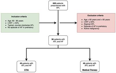 Impact of cavotricuspid isthmus ablation for typical atrial flutter and heart failure in the elderly—results of a retrospective multi-center study